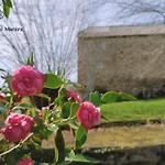 Maison D'exception, 14 Personnes, Piscine, Vue Pyrenees 別荘