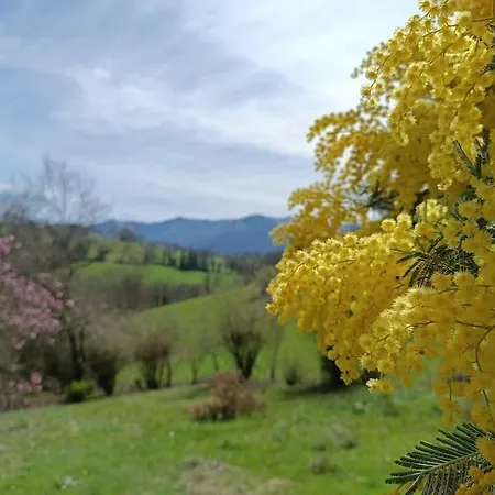Maison D'Exception, 14 Personnes, Piscine, Vue Pyrenees Sévignacq-Meyracq
