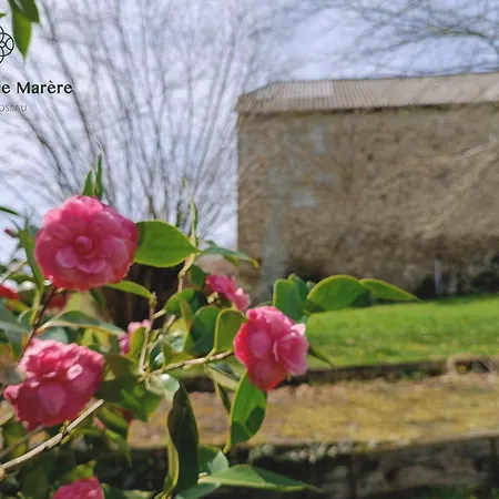 Maison D'exception, 14 Personnes, Piscine, Vue Pyrenees Σπίτι διακοπών