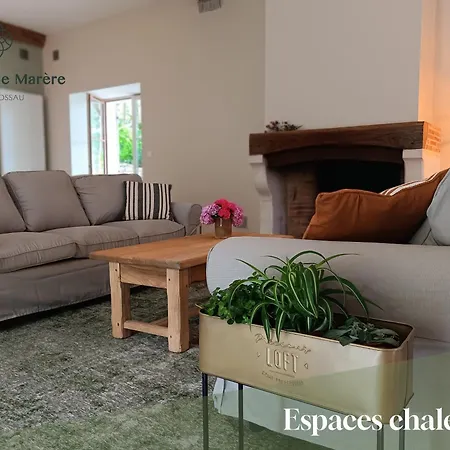 Maison D'exception, 14 Personnes, Piscine, Vue Pyrenees * Sévignacq-Meyracq
