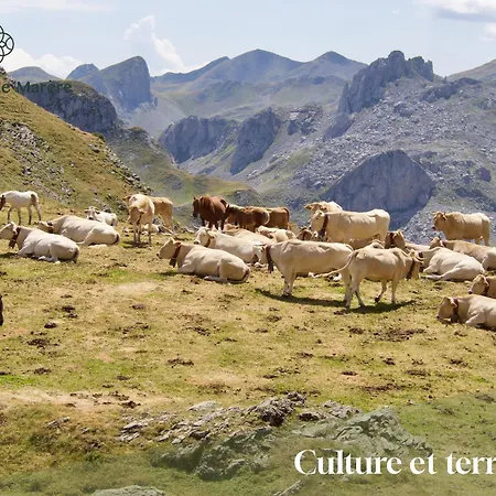 Maison D'exception, 14 Personnes, Piscine, Vue Pyrenees Sévignacq-Meyracq
