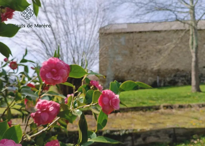 Maison D'exception, 14 Personnes, Piscine, Vue Pyrenees Holiday home