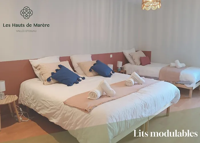 Maison D'exception, 14 Personnes, Piscine, Vue Pyrenees Holiday home Sevignacq-Meyracq