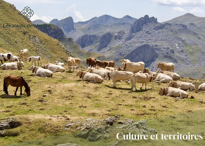 Maison D'exception, 14 Personnes, Piscine, Vue Pyrenees Sevignacq-Meyracq